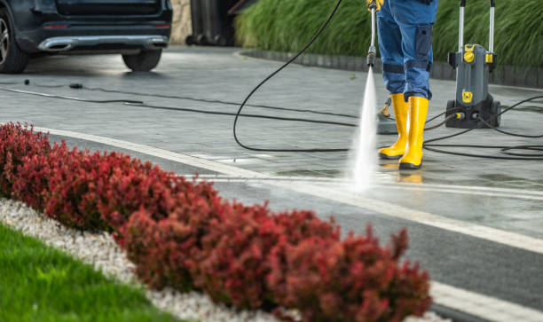 Best Pressure Washing Contractors  in Ojus, FL