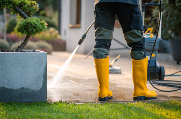 Best Roof Pressure Washing  in Ojus, FL